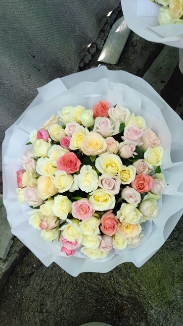 садовые розы: Үй жана бакча үчүн декор