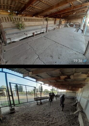 Продажа домов: Дом, 32 м², 4 комнаты, Собственник, Старый ремонт — 17