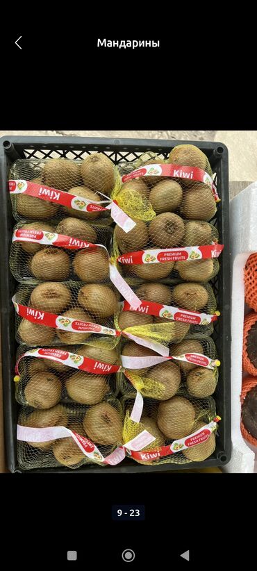 Мандарины: Мандарины Оптом — 11