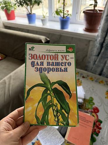 История: Мировая история, 9 класс — 71