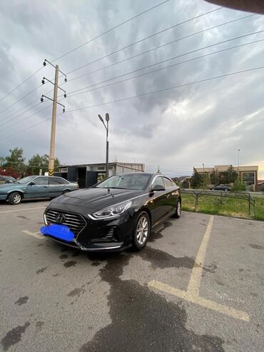 сонату: Hyundai Sonata: 2017 г., 2 л, Автомат, Газ, Седан