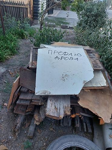 дрова бровары: Продаю дрова - 500 сом. Адрес: маршрут 102 автобуса в сторону БЧК — 4