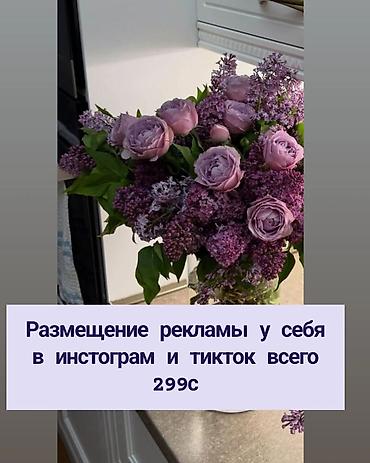 Размещение рекламы в Instagram и TikTok. - Публикация вашей рекламы у at lalafo.kg Размещение рекламы в Instagram и TikTok. - Публикация вашей рекламы у
