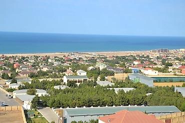 Torpaq: 50 sot, Tikinti, Makler, Kupça (Çıxarış) — 8