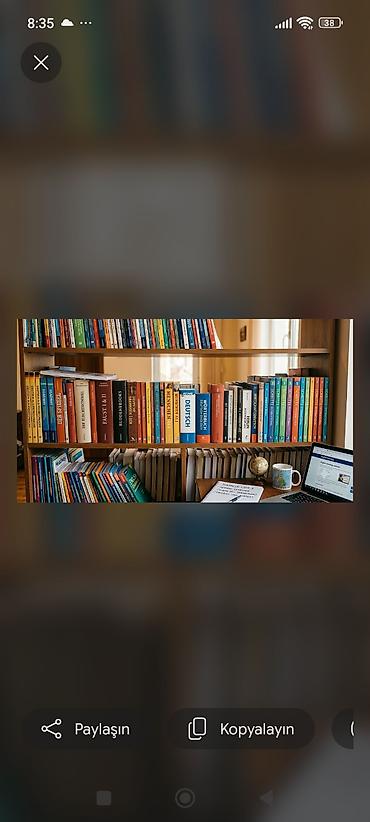 paltar rəfi: Rus dili onlayn dərslər fərdi və grup şəklində keçirilir,böyüklər və — 1
