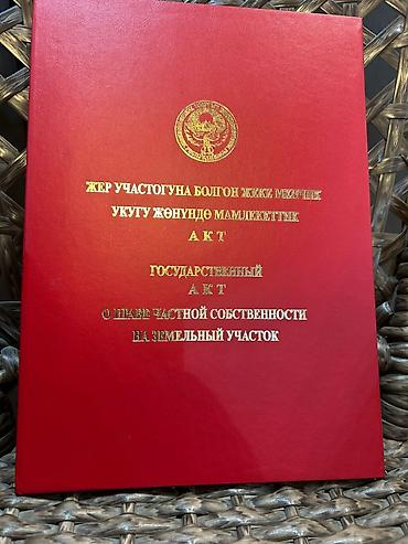 отель бишкек: 4 соток, Красная книга — 1