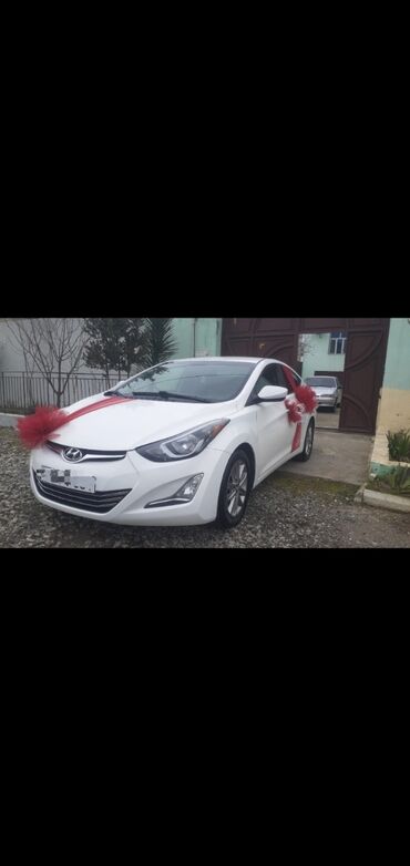 Hyundai: Hundai Elantra. Acil satilir. il 2014. motor 1.8. yuruw. 204