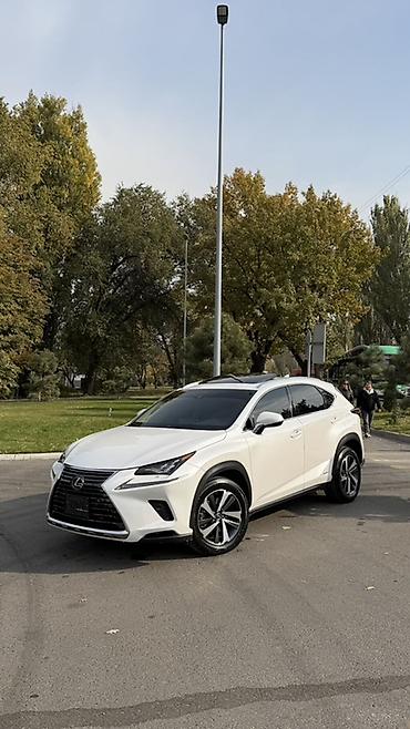 киргизский авито авто: Lexus NX: 2020 г., 2.5 л, Автомат, Гибрид, Кроссовер — 1
