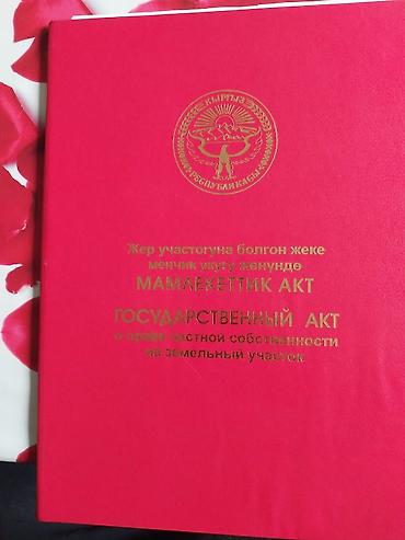 Жер тилкелерин сатуу: 48 соток, Кызыл китеп — 2