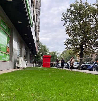 Все для дома и сада: Сеем газон по доступным ценам под ключ 🔑 проводим все необходимые — 5