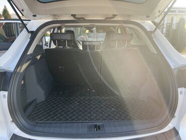 LIFAN: LIFAN : 2021 г., Электромобиль, Кроссовер — 7