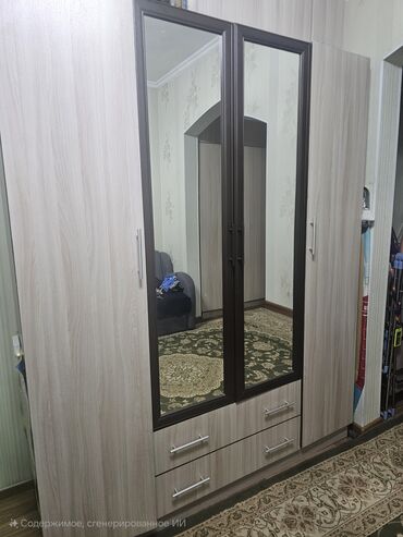 шкафы для прихожки: Купе шкаф, Колдонулган, Күзгүсү менен