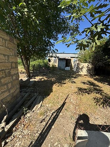 3 otaqlı kiraye evler: Torpaq sahəsi və həyət evi Təcili satılır Masallı rayon T.Alvadı — 1