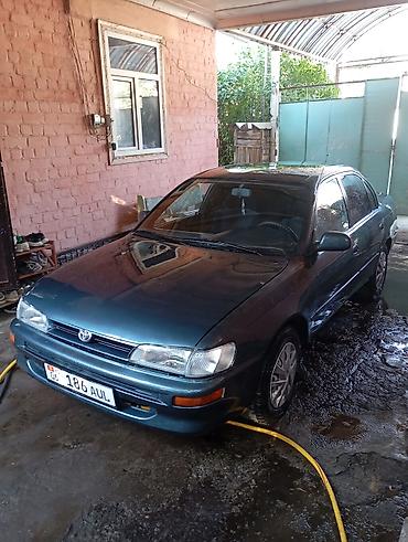 двигатель д 245 турбо: Toyota Corolla: 1993 г., 1.8 л, Автомат, Бензин, Седан — 1