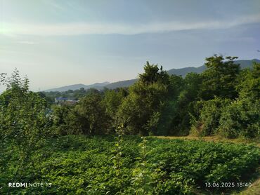 Torpaq sahələrinin satışı: 186 sot, Tikinti, Maklerlər narahat etməsin, Kupça (Çıxarış) — 22