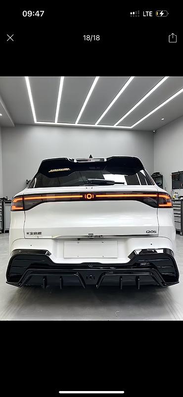 сетка бампера: Решетка радиатора BYD 2026 г., Новый, Оригинал — 4