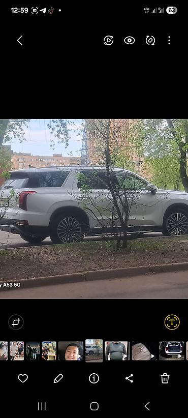 rota grid: Полноразмерный 7‑местный hunday palisad белого цвета. - Кузов — 1