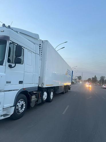 фреон 22 цена: Тягач, DAF, 2009 г., Холодильник, рефрижератор — 3