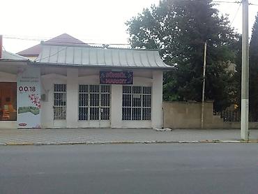 simental buzov satışı: Ağsu rayonu Təzə Məhkəmənin yanı Obyekt təcili satılır qiymətində — 1