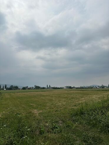 сниму дом на иссык куле: 450 соток, Для сельского хозяйства, Генеральная доверенность