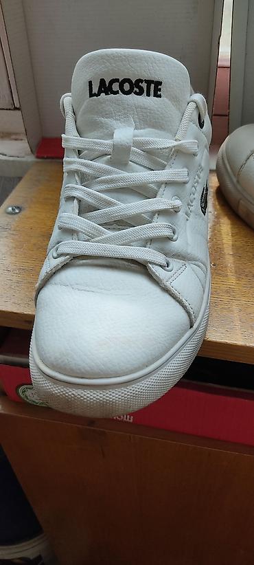 крок: Кеды Lacoste, белые. 1000сом. 41размер. Состояние отличное — 4