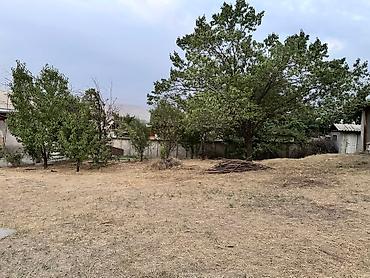 Продажа коттеджей и домов: Продается дом с общей площадью 12 сот. Территория дома 10 сотик и — 5