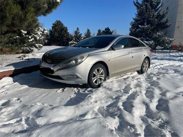 салон е46: Hyundai Sonata: 2010 г., 2 л, Типтроник, Газ, Седан