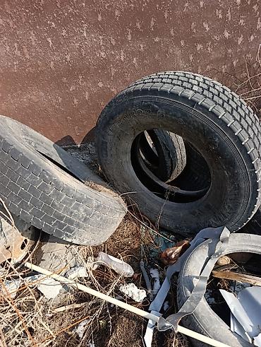 Шины: Бесплатно на септик 12 штук Грузовые шины 315/80 R22.5 - Тип — 1