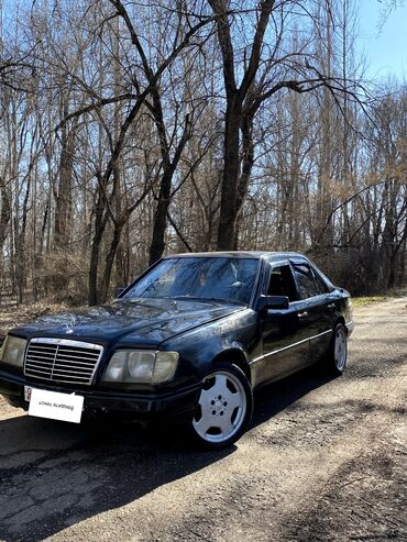 Mercedes-Benz: Mercedes-Benz W124: 1993 г., 3.2 л, Автомат, Бензин