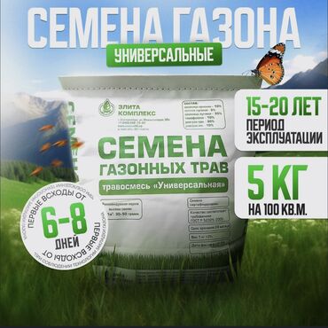 семена болгарского сладкого перца: Семена газонной травы, травосмесь Универсальная 5 кг, газон