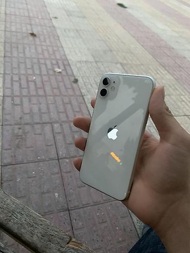 IPhone 11, Ağ