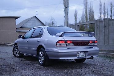 Nissan: Nissan Maxima: 2003 г., Седан — 6