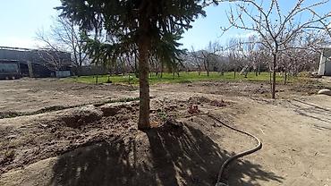 Продажа участков: 25 соток — 23