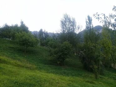 Torpaq sahələrinin satışı: 16 sot, Tikinti, Mülkiyyətçi, Kupça (Çıxarış) — 12