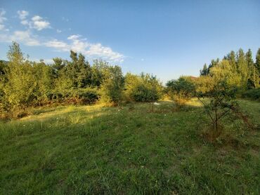 Torpaq sahələrinin satışı: 10 sot, Tikinti, Mülkiyyətçi, Kupça (Çıxarış) — 5