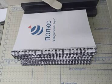 Печать: Струйная печать, | Каталоги, Книги — 7