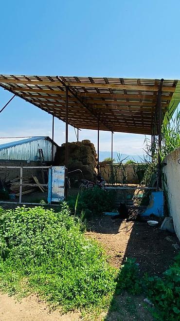 Продажа сельхоз предприятий: Продаётся действующая фермерская база/скотный двор. - Просторные — 4