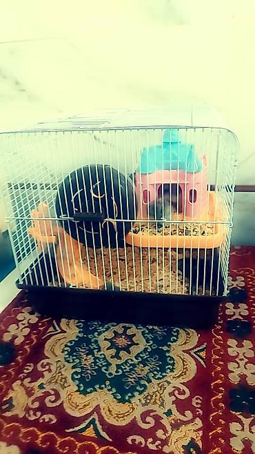 Зоотовары: Клетки очень дешево. распродаю остатки. цены от 500 до 1200 сом — 10
