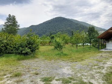 Torpaq sahələrinin satışı: 3 sot, Biznes üçün, Makler, Kupça (Çıxarış) -da lalafo.az — 8 Torpaq sahələrinin satışı: 3 sot, Biznes üçün, Makler, Kupça (Çıxarış) — 8