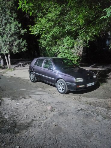 обмен на дачу: Volkswagen Golf: 1993 г., 1.8 л, Механика, Бензин, Хетчбек