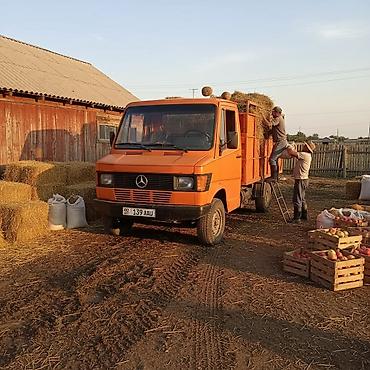 82 1: Mercedes-Benz : 1993 г., 2.9 л, Механика, Дизель, Фургон — 2