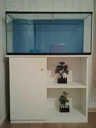 Akvariumlar: Akvarium-şkaf, Boş, 130 l, Ünvandan götürmə, Ödənişli çatdırılma, Rayonlara çatdırılma