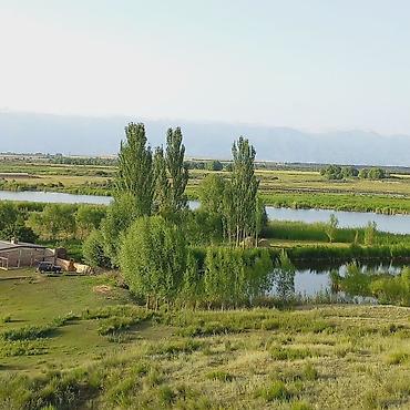 Продажа коттеджей и домов: Продается ферма в Джети-Огузском районе, Иссык-Кульская область — 16