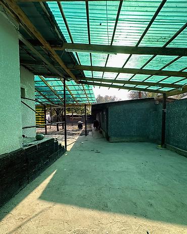 дом с ивановка: 4 комнаты, 70 м², 6 соток, Сокулук, Агентство недвижимости — 5