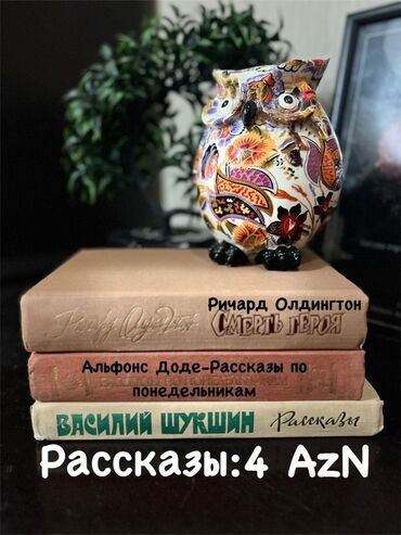 Lüğətlər: 125 shekil. Sola cevirin zehmet olmasa Kitab və dərs vəsaitləri paketi — 58