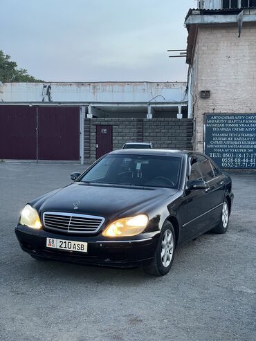 если стерилизовать кошку будет ли течка: Mercedes-Benz S-Class: 2001 г., 5 л, Автомат, Газ, Седан