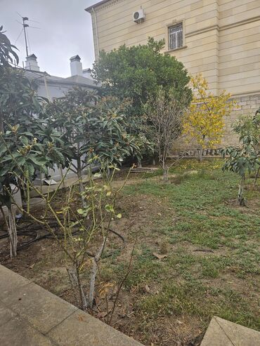 Uzunmüddətli kirayə mənzillər: Geniş planlı mənzil – klassik üslubda, hündür tavanlı və işıqlı — 14