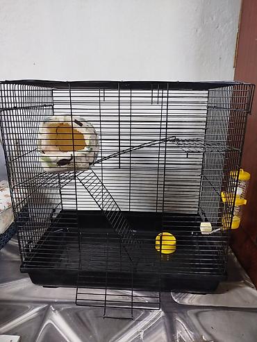 Зоотовары: Продаются клетки 47.28.46. гамаки 250 сом, домики 250 сом поильники — 2