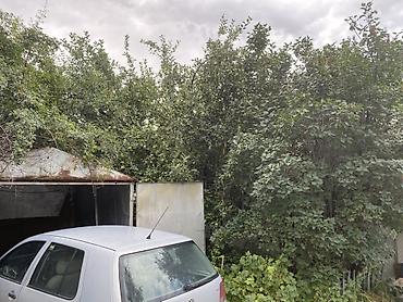 Продажа дачи: 5 комнат, 100 м², 10 соток, Холодная вода, Электричество at lalafo.kg — 18 Продажа дачи: 5 комнат, 100 м², 10 соток, Холодная вода, Электричество — 18