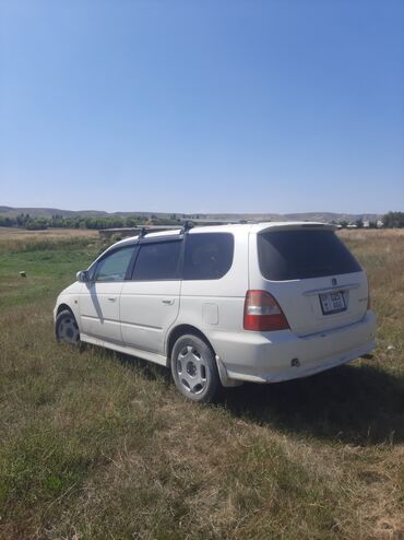 шины на тико: Белый минивэн Honda Odyssey, подходящий для семейных поездок и
